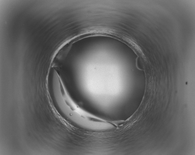 X0000082730936200702161903