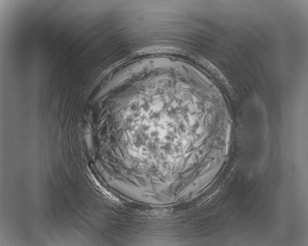 X0000082730937200702161903