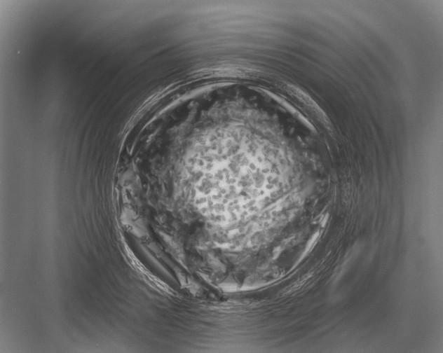 X0000082730938200702161903