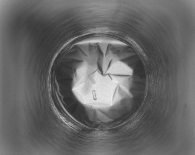 X0000082730939200702161903