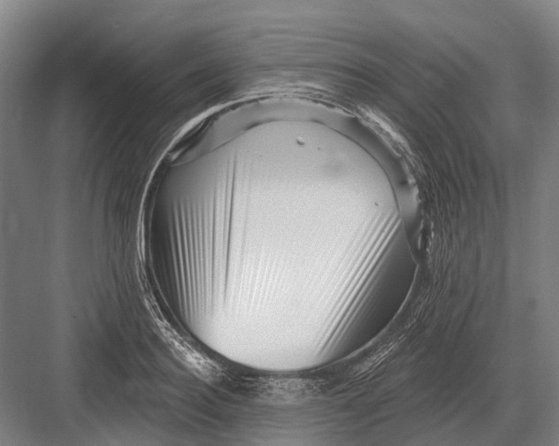 X0000082730940200702161903