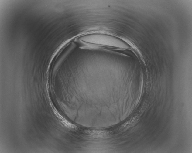 X0000082730941200702161903