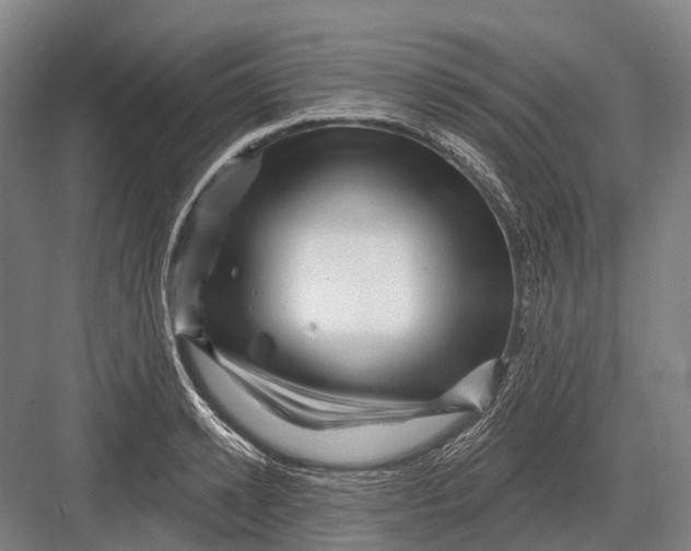 X0000082730942200702161903