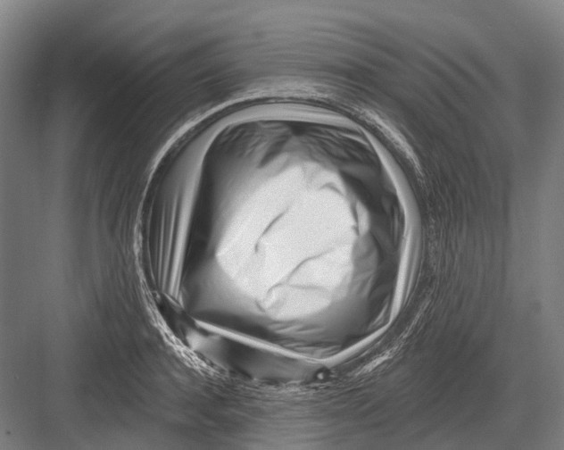 X0000082730944200702161904