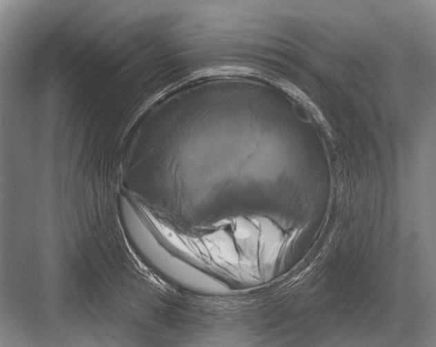 X0000082730945200702161904