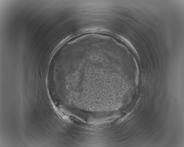 X0000082730946200702161904