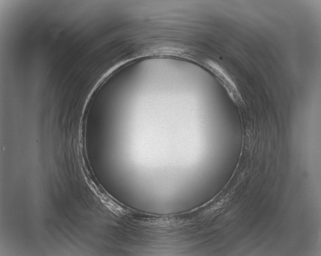 X0000082730948200702161904