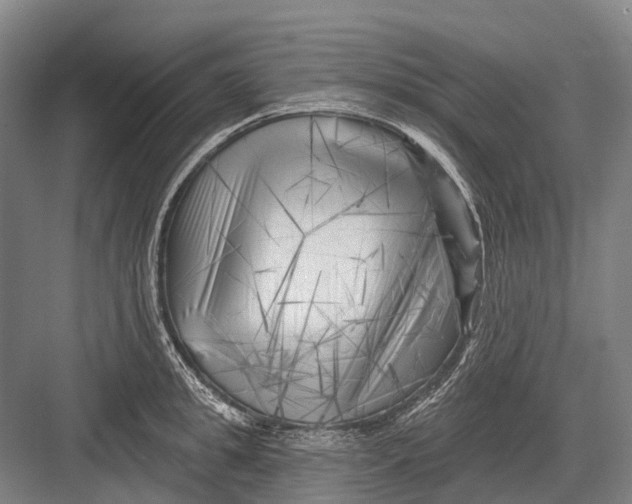 X0000082730949200702161904