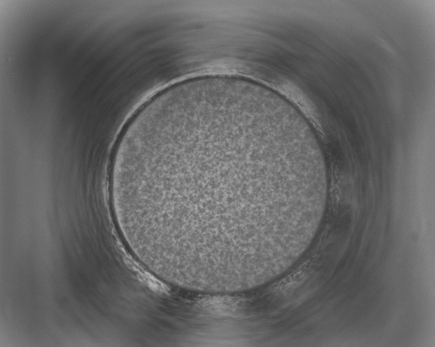 X0000082730950200702161904