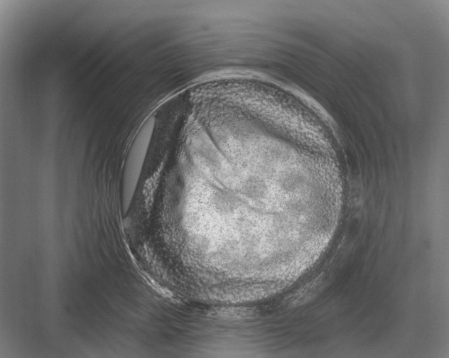 X0000082730953200702161904