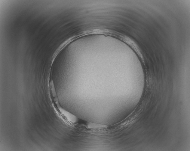 X0000082730954200702161904