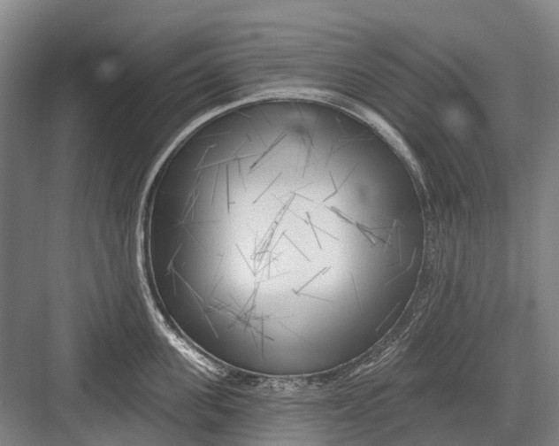 X0000082730955200702161904