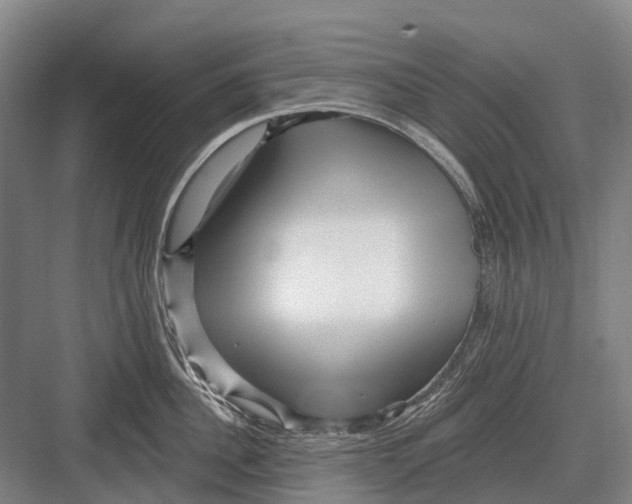 X0000082730956200702161904