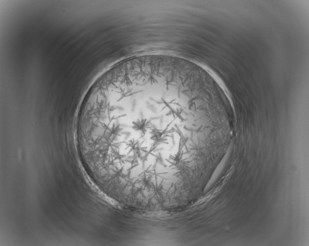 X0000082730957200702161904