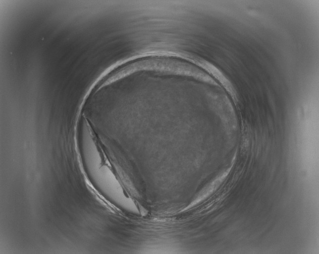 X0000082730958200702161904