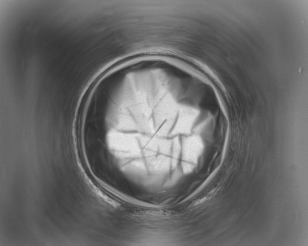 X0000082730959200702161904