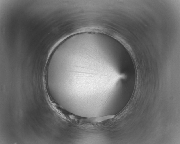 X0000082730960200702161904