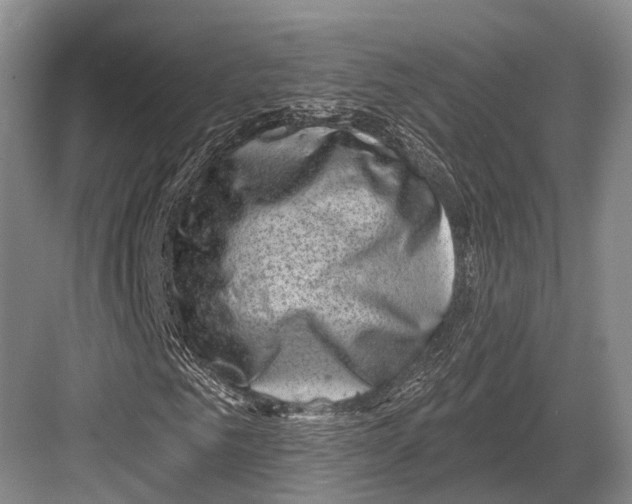 X0000082730961200702161903