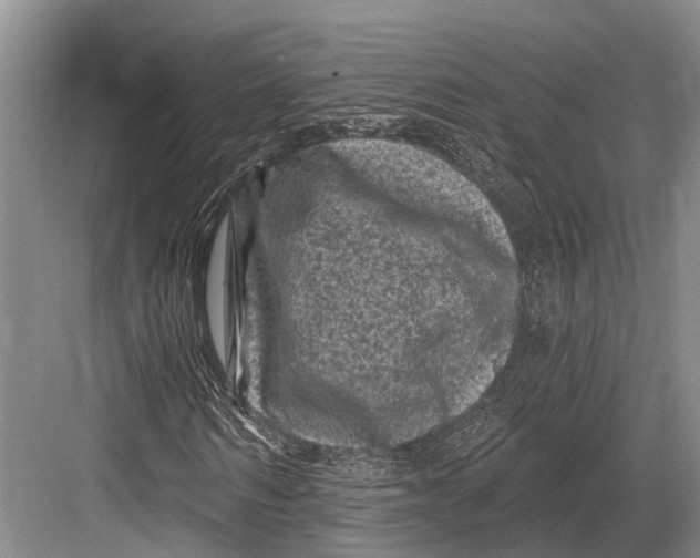 X0000082730962200702161903