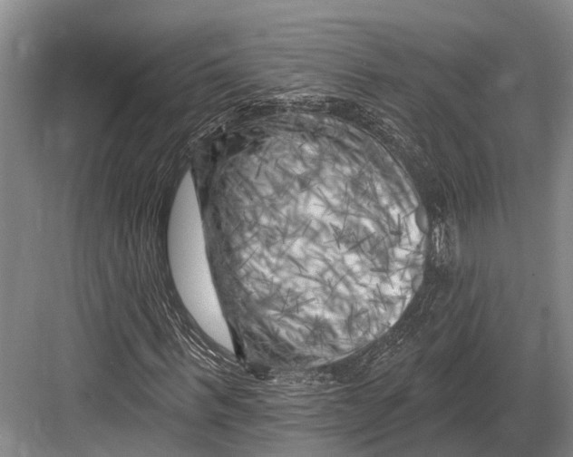 X0000082730963200702161903