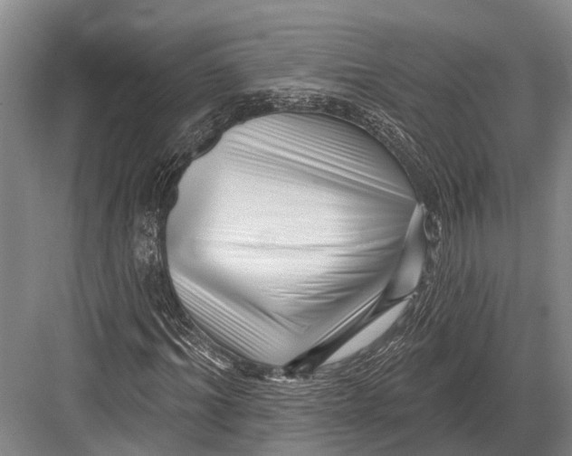 X0000082730964200702161903