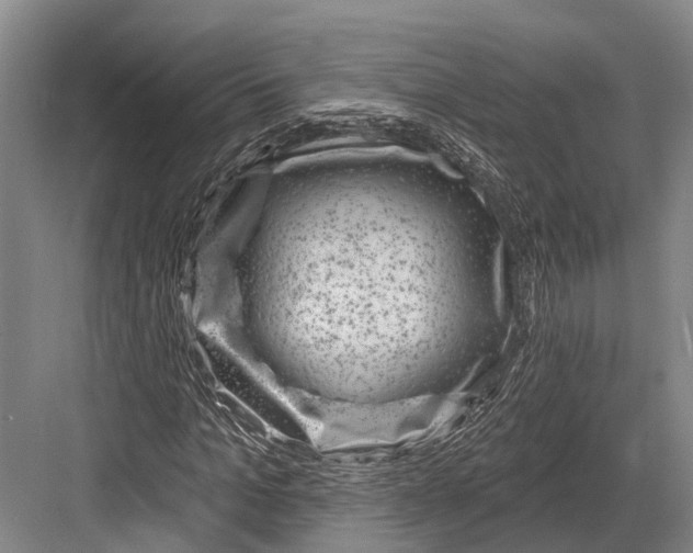 X0000082730965200702161903