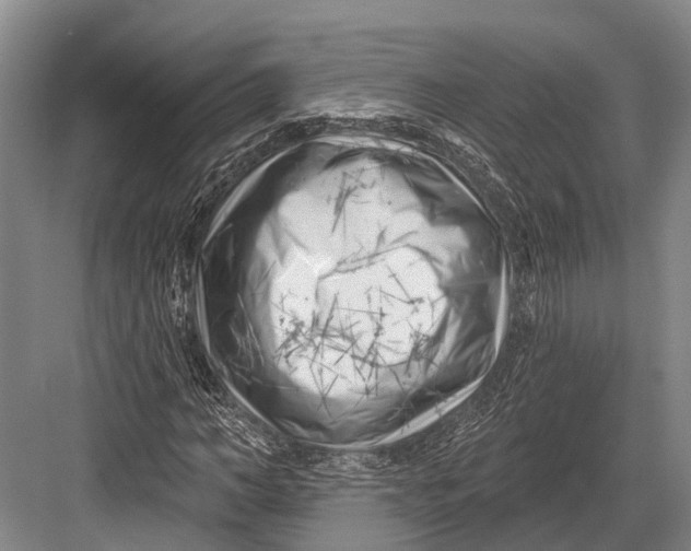 X0000082730966200702161903