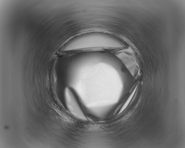 X0000082730969200702161903