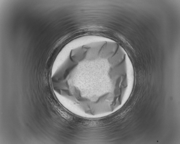 X0000082730970200702161903