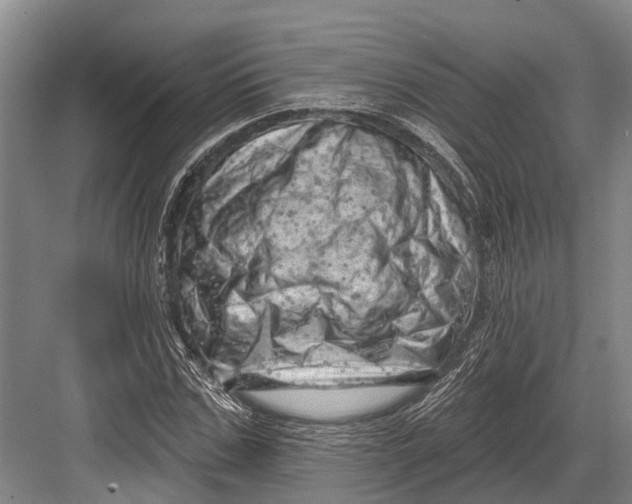 X0000082730971200702161903