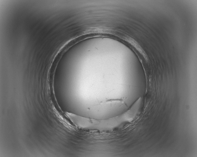 X0000082730972200702161903