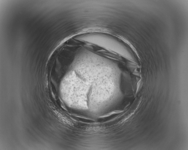 X0000082730973200702161903