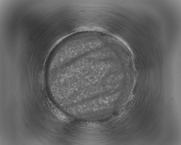 X0000082730975200702161903