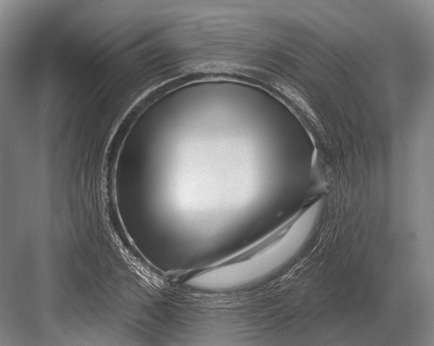 X0000082730976200702161903