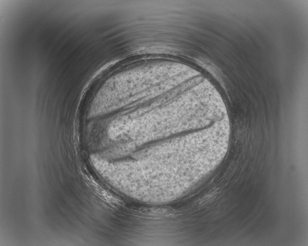 X0000082730979200702161903