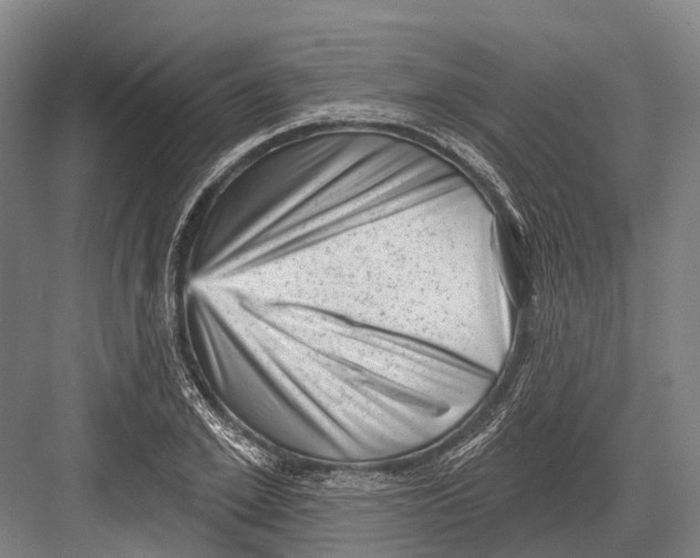 X0000082730981200702161903