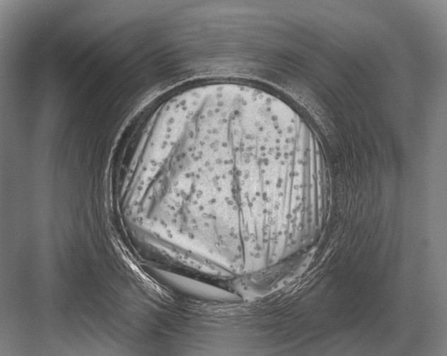 X0000082730982200702161903