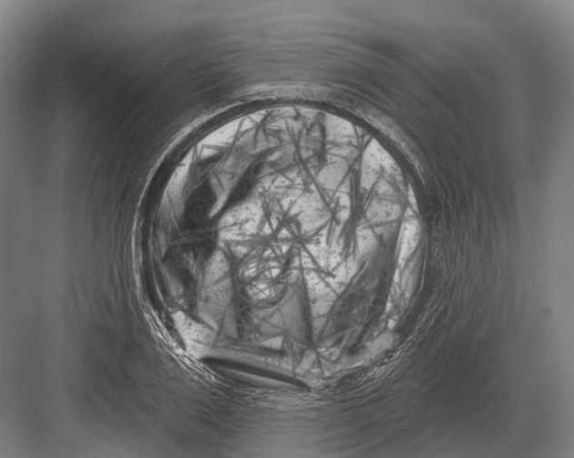 X0000082730983200702161903