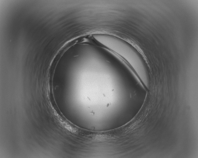 X0000082730984200702161903