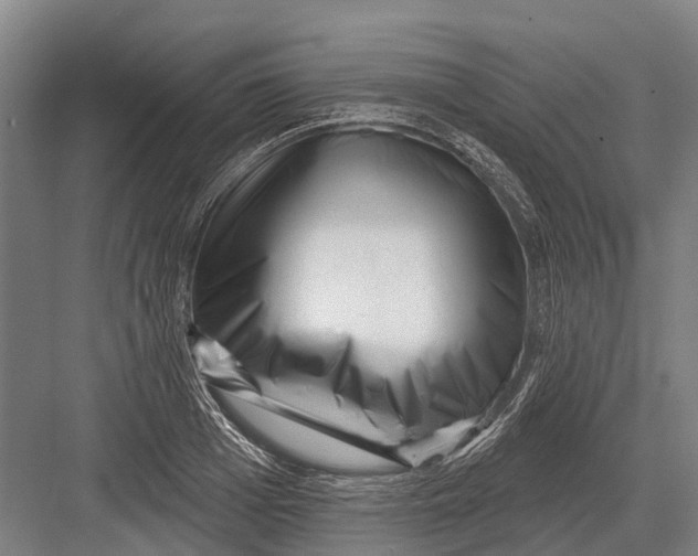 X0000082730985200702161903