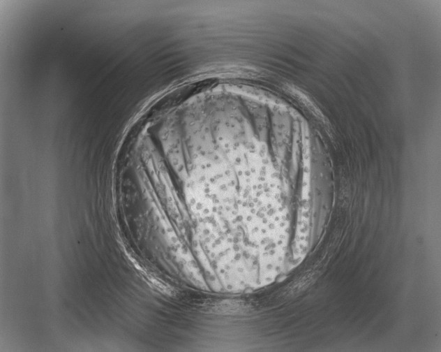 X0000082730986200702161903