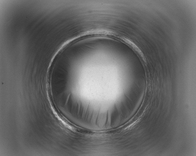 X0000082730989200702161903