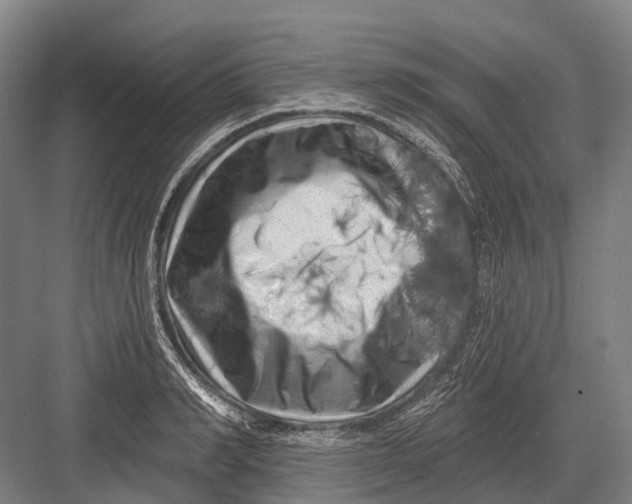 X0000082730990200702161903