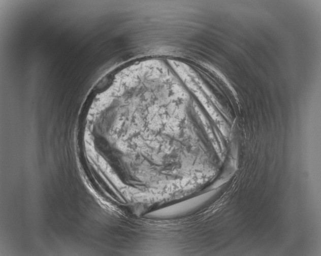 X0000082730991200702161902