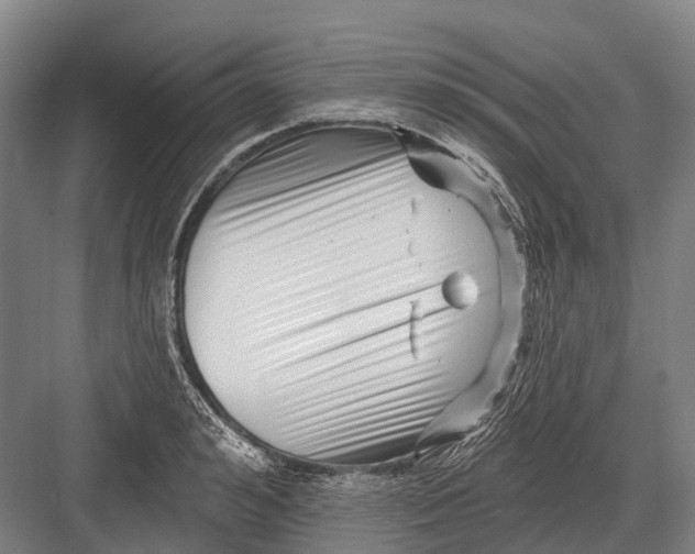 X0000082730992200702161902