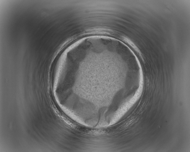 X0000082730994200702161902