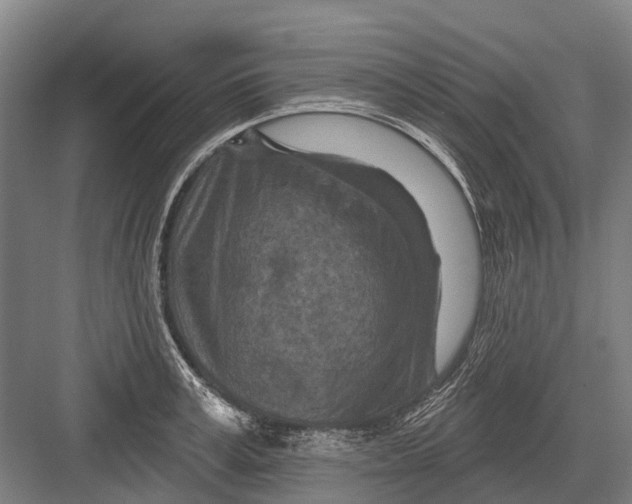 X0000082730995200702161902