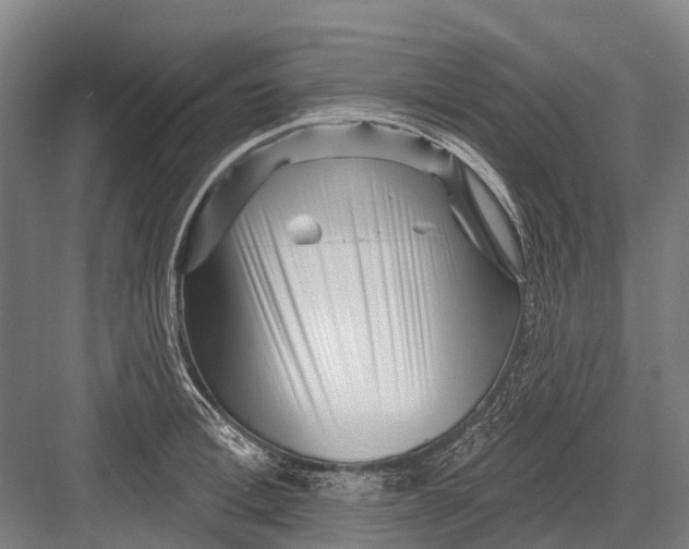 X0000082730996200702161902