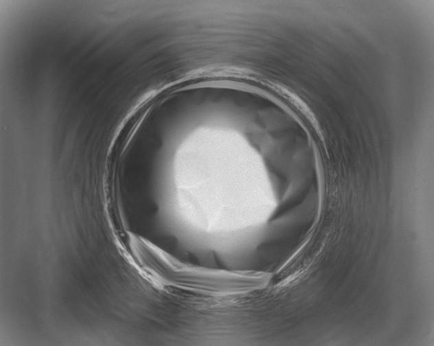 X0000082730997200702161902