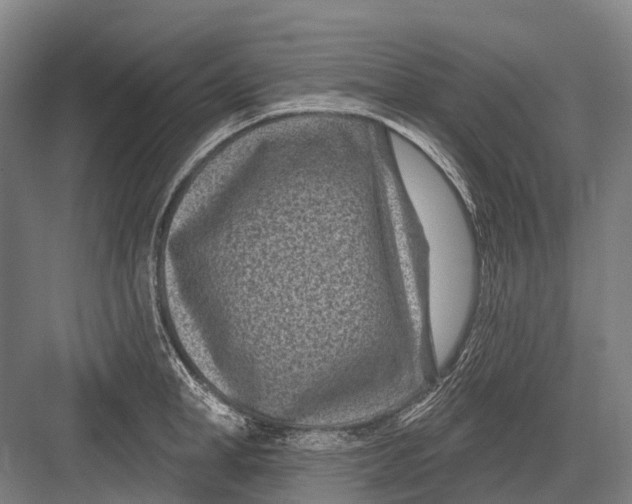 X0000082730998200702161902